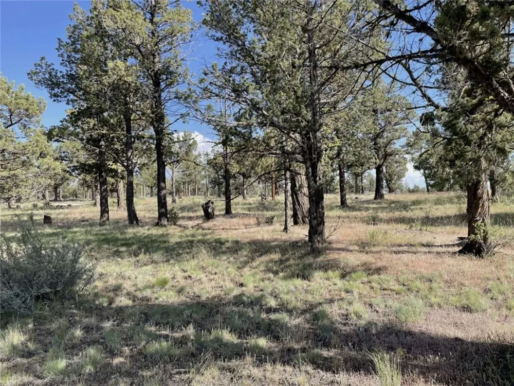 Hilltop Lane Alturas, CA 96101