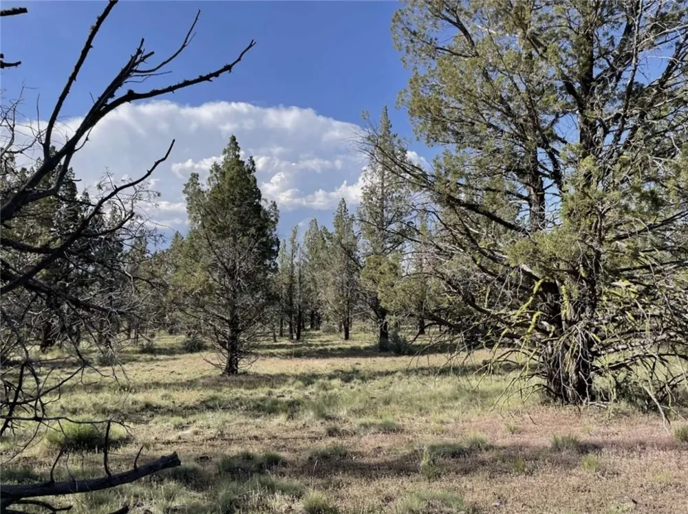 Hilltop Lane Alturas, CA 96101