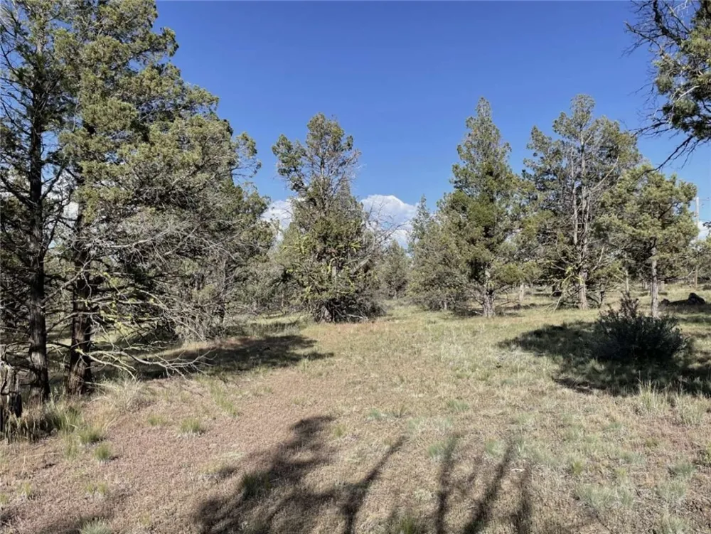 Hilltop Lane Alturas, CA 96101