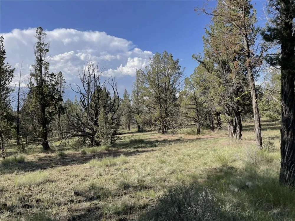 Hilltop Lane Alturas, CA 96101