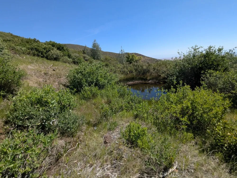 Toomes Camp Road Paskenta, CA 96074
