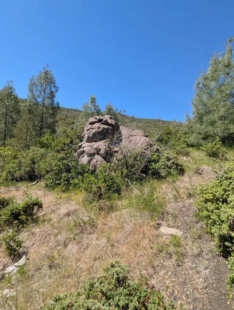 Toomes Camp Road Paskenta, CA 96074