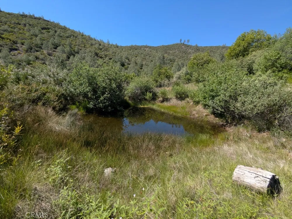 Toomes Camp Road Paskenta, CA 96074
