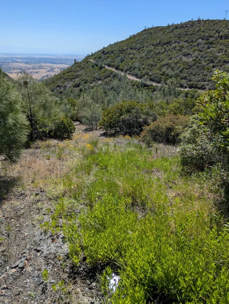 Toomes Camp Road Paskenta, CA 96074
