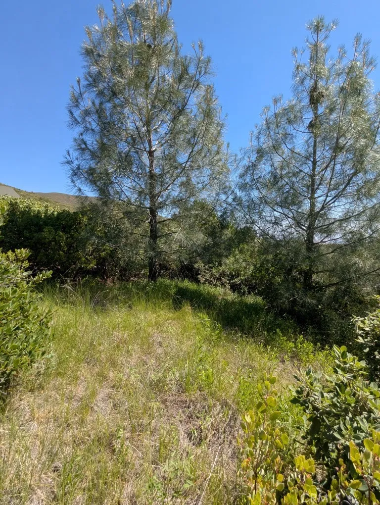 Toomes Camp Road Paskenta, CA 96074