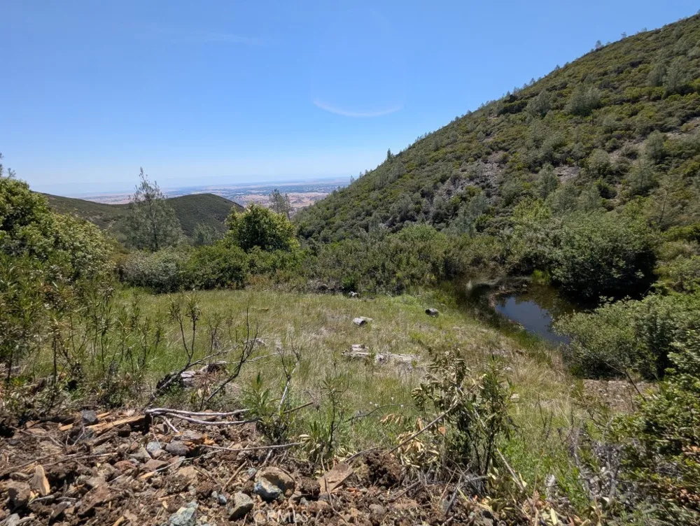 Toomes Camp Road Paskenta, CA 96074