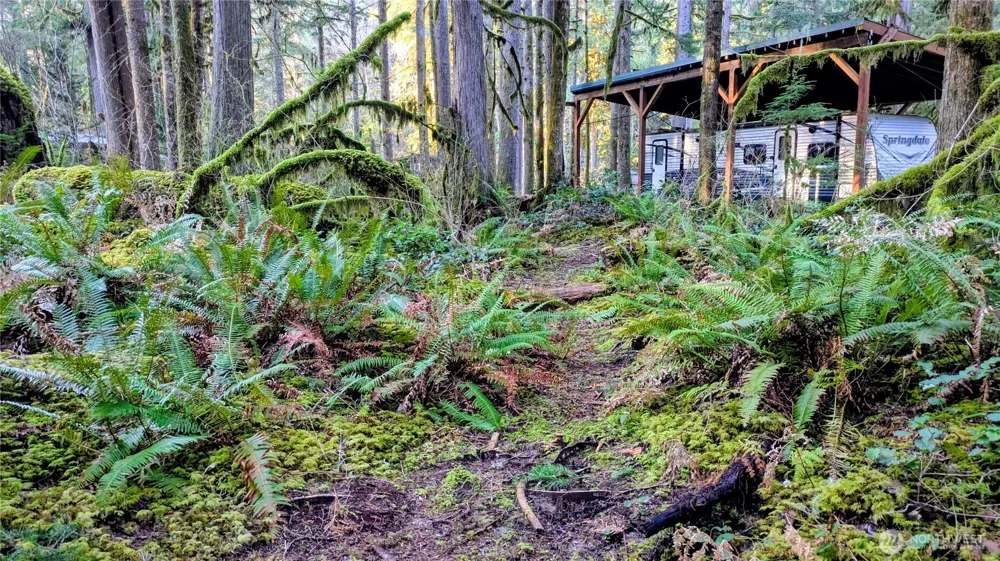 0 W Cascade Drive #1-9/10 Marblemount, WA 98267