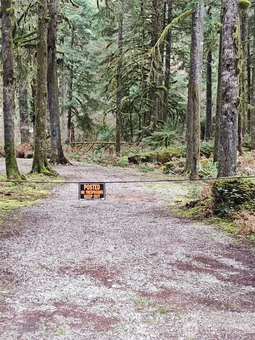 0 W Cascade Drive #1-9/10 Marblemount, WA 98267