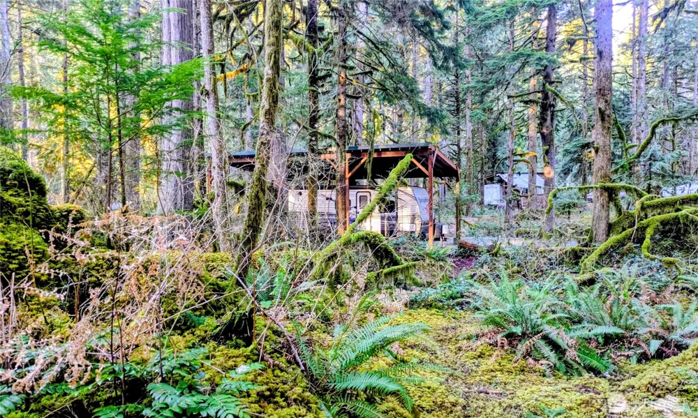0 W Cascade Drive #1-9/10 Marblemount, WA 98267