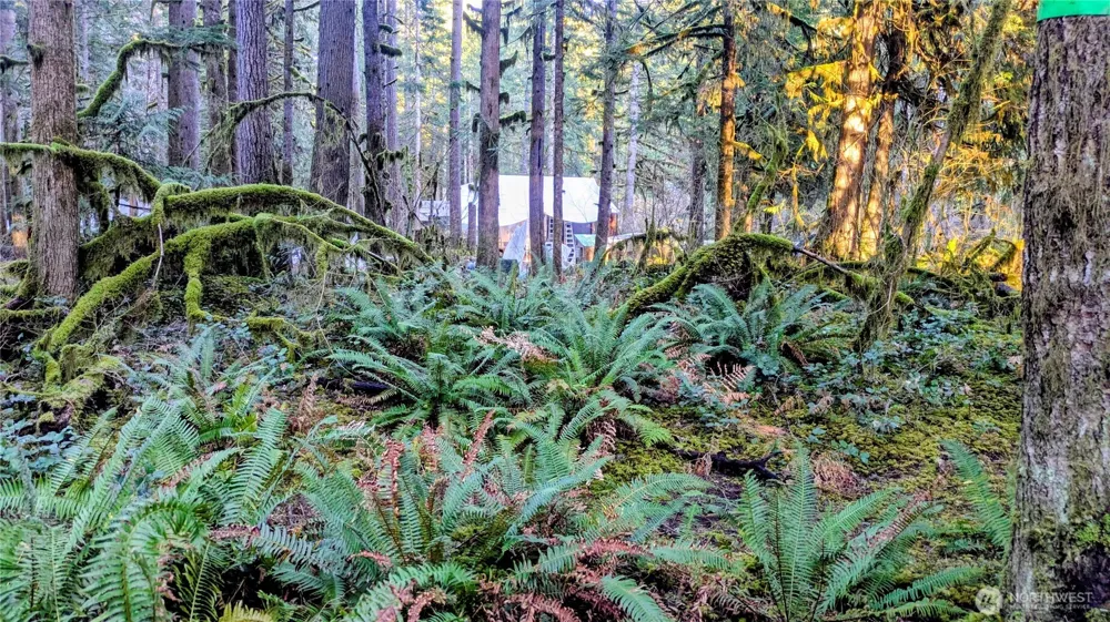 0 W Cascade Drive #1-9/10 Marblemount, WA 98267