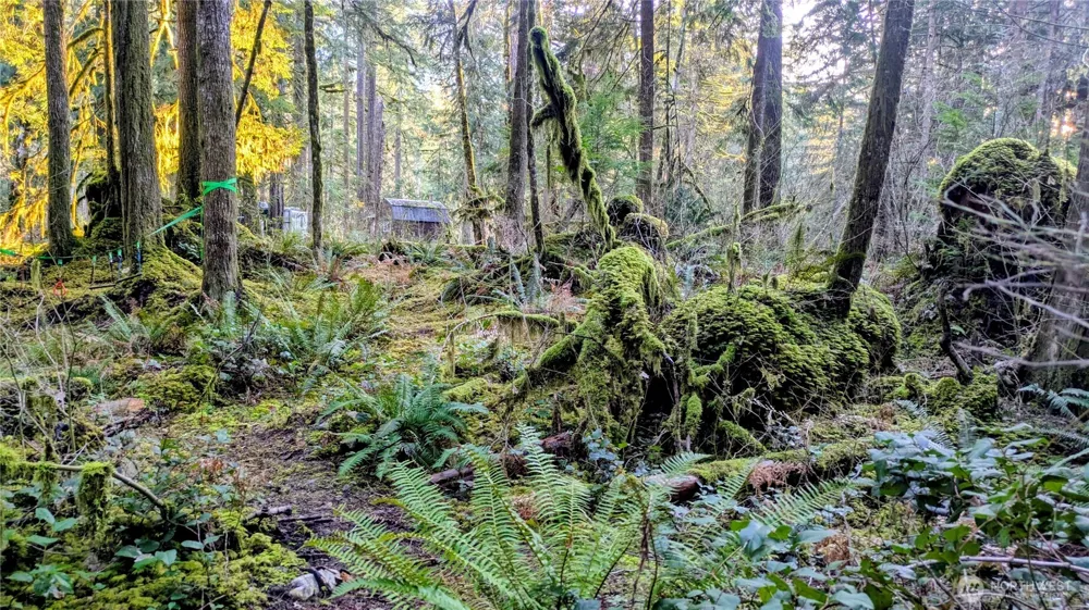 0 W Cascade Drive #1-9/10 Marblemount, WA 98267