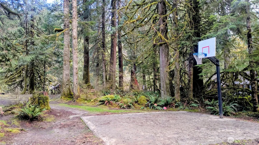 0 W Cascade Drive #1-9/10 Marblemount, WA 98267