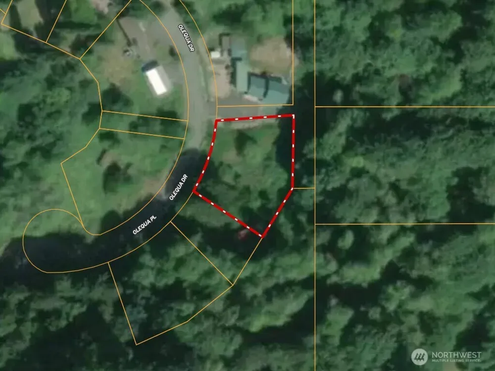 177 Olequa Drive Vader, WA 98593