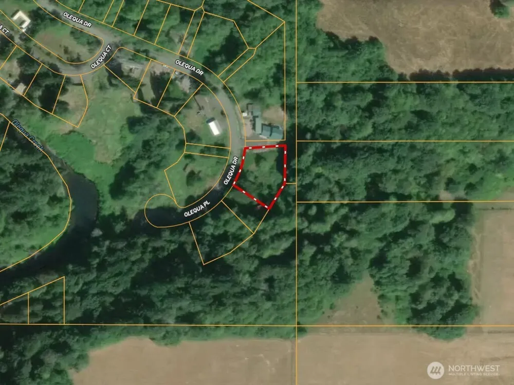 177 Olequa Drive Vader, WA 98593