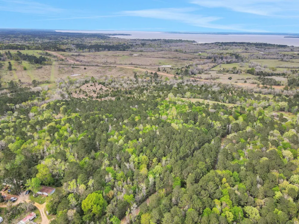 Rose Hill Road Coldspring, TX 77331