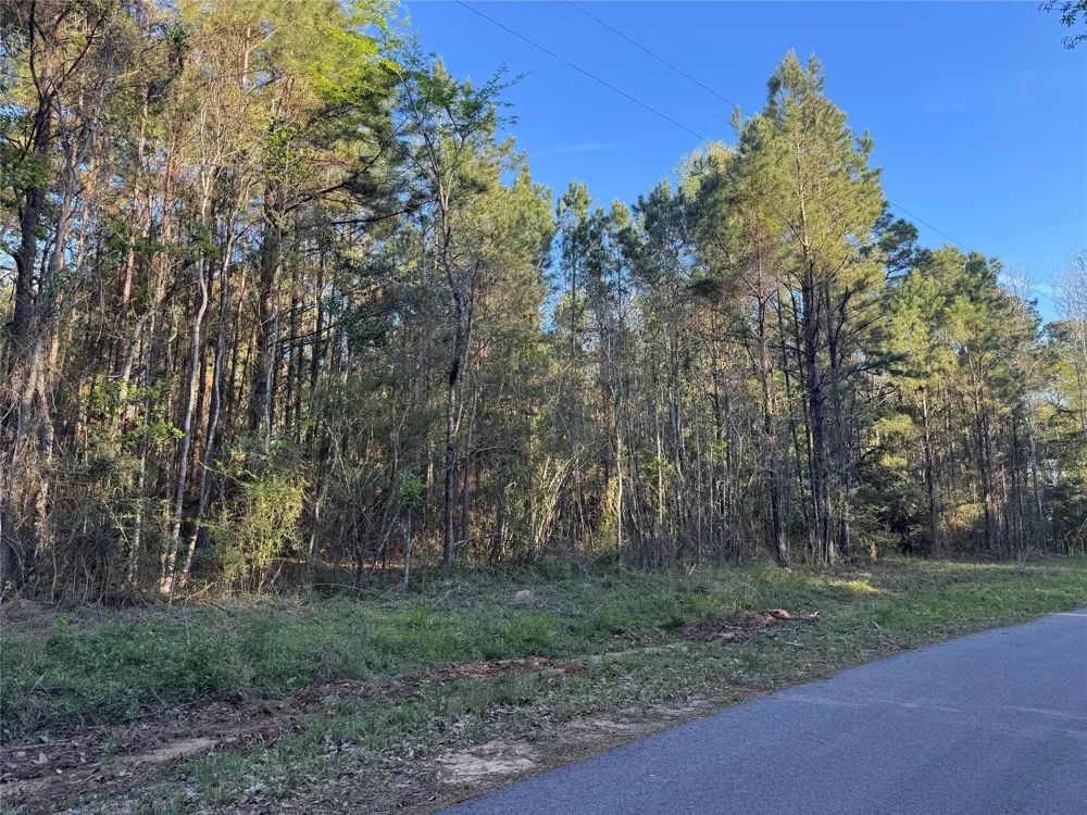 Rose Hill Road Coldspring, TX 77331