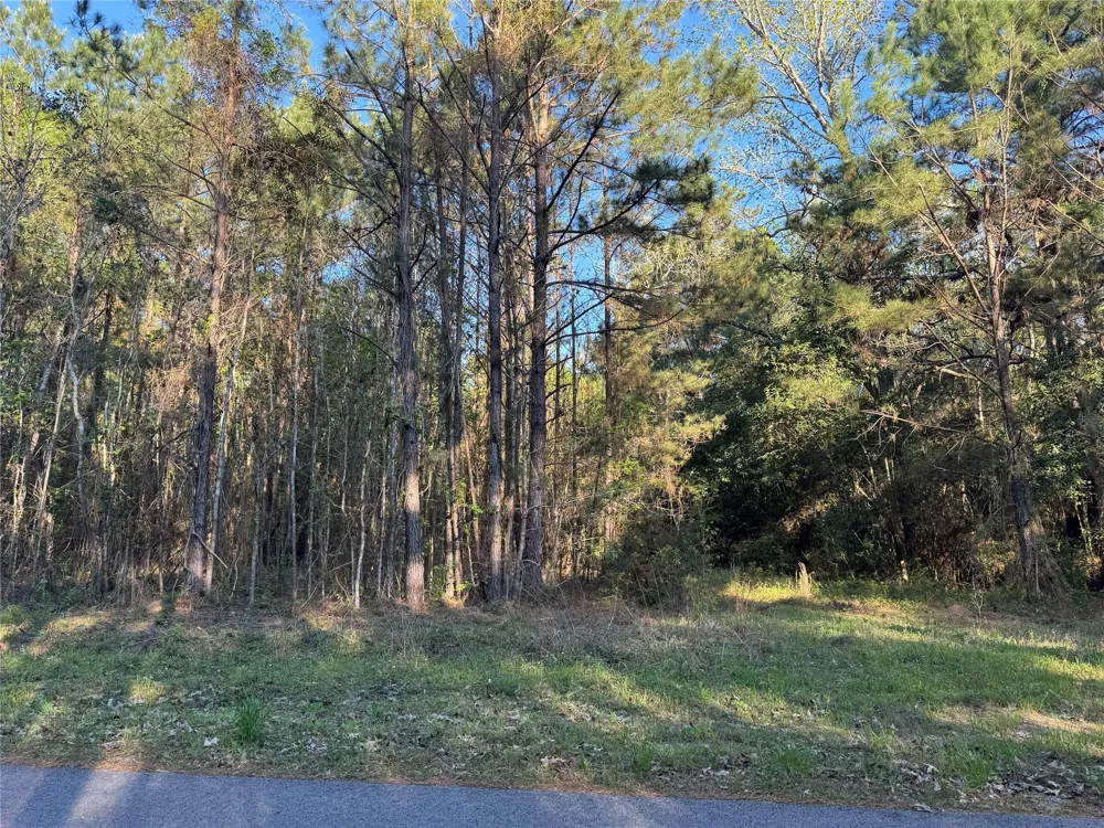 Rose Hill Road Coldspring, TX 77331