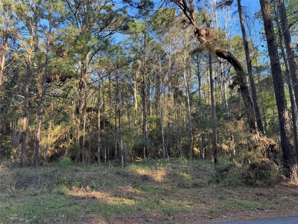 Rose Hill Road Coldspring, TX 77331