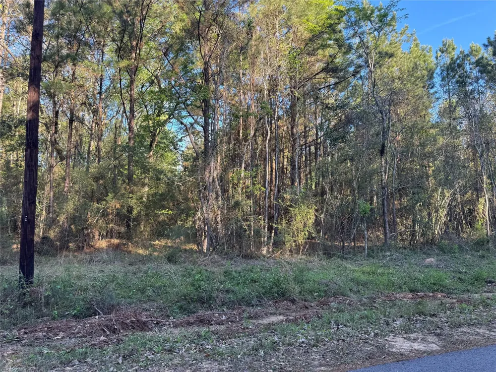 Rose Hill Road Coldspring, TX 77331