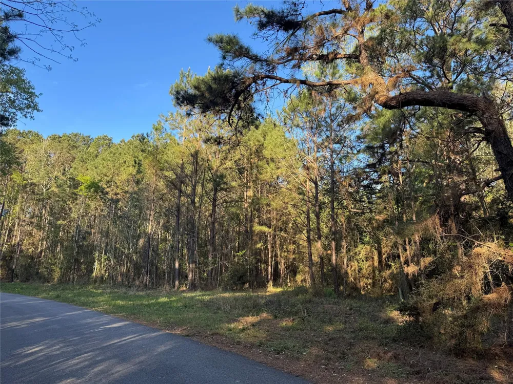 Rose Hill Road Coldspring, TX 77331