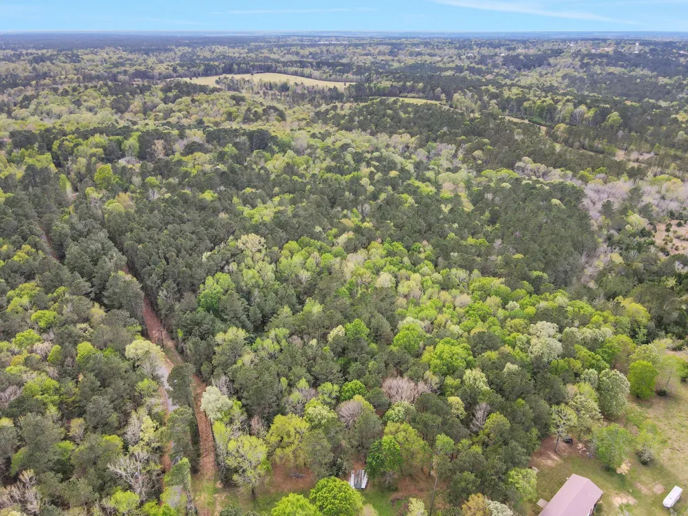 Rose Hill Road Coldspring, TX 77331