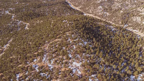 Gulch Road