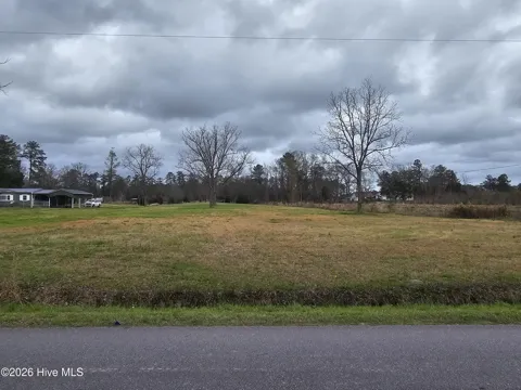251 Alligator Loop Road
