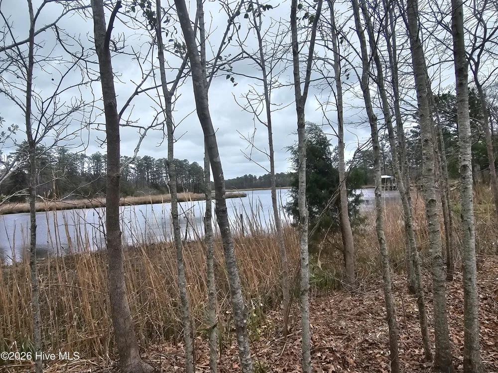 251 Alligator Loop Road Merritt, NC 28556