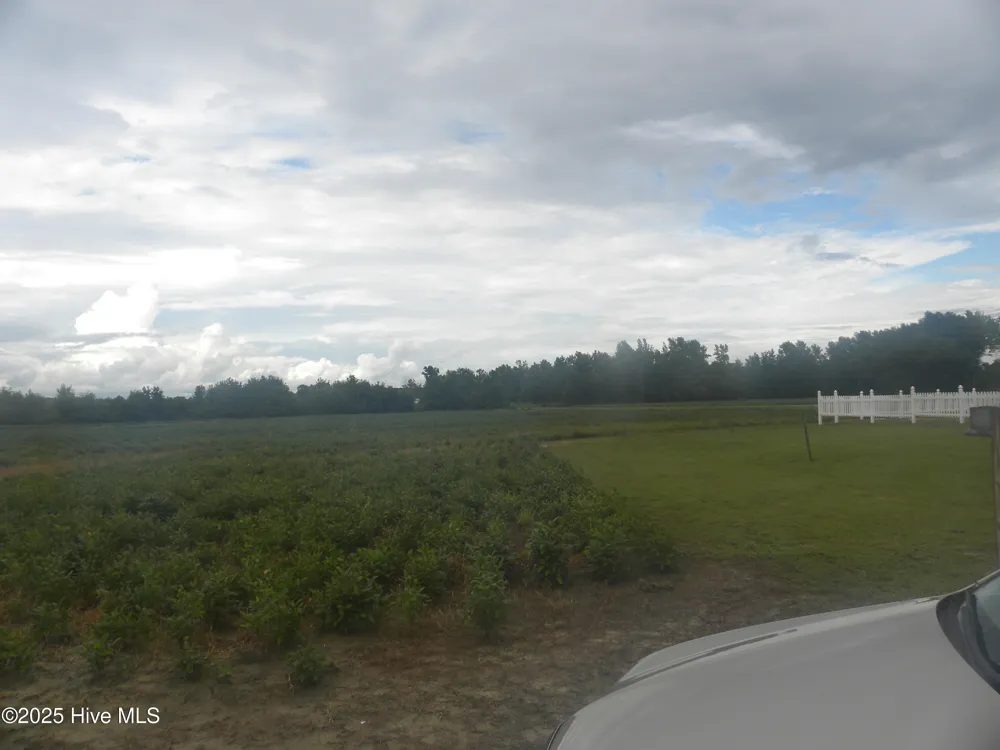 Tbd Conetoe Road Greenville, NC 27834