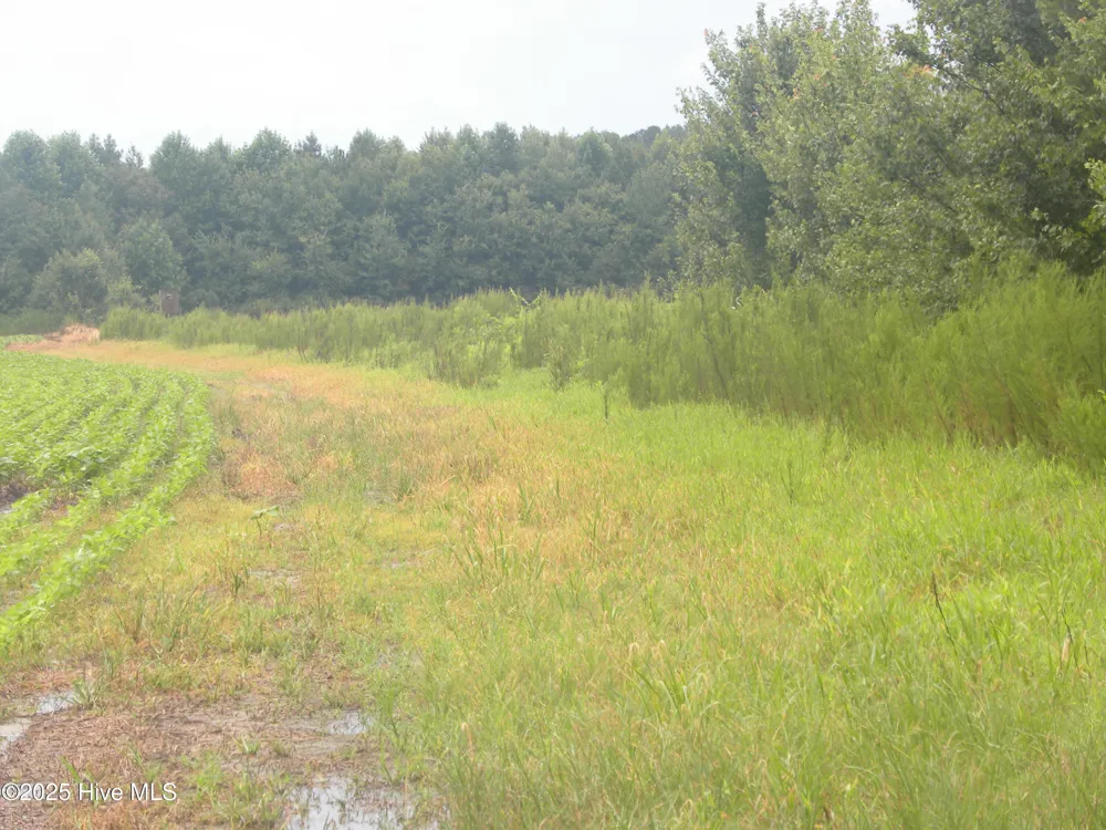 Tbd Conetoe Road Greenville, NC 27834