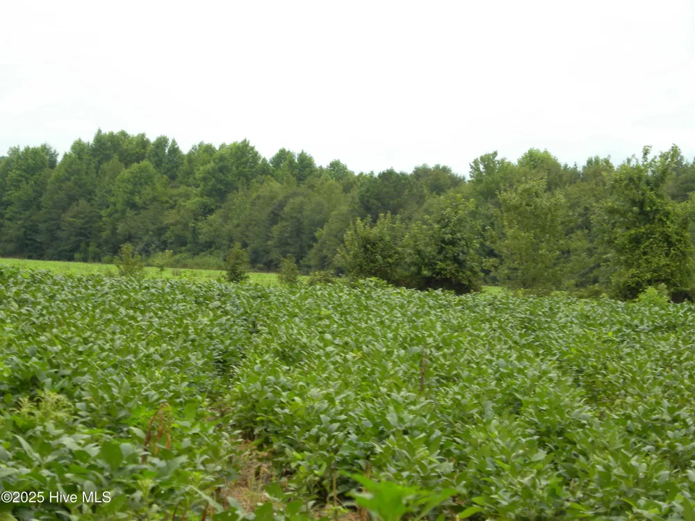Tbd Conetoe Road Greenville, NC 27834