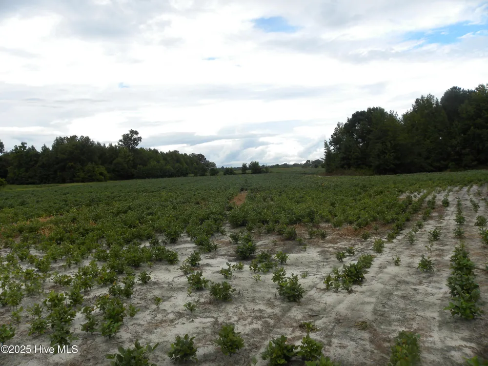 Tbd Conetoe Road Greenville, NC 27834