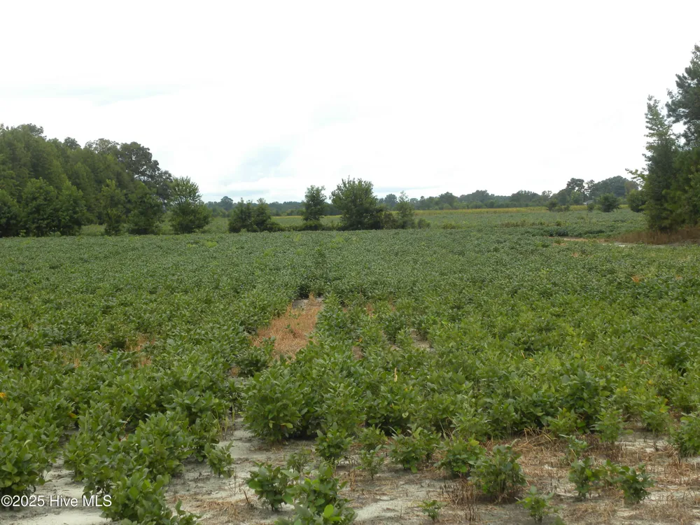 Tbd Conetoe Road Greenville, NC 27834
