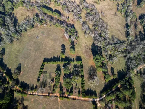 1549 County Road 1650