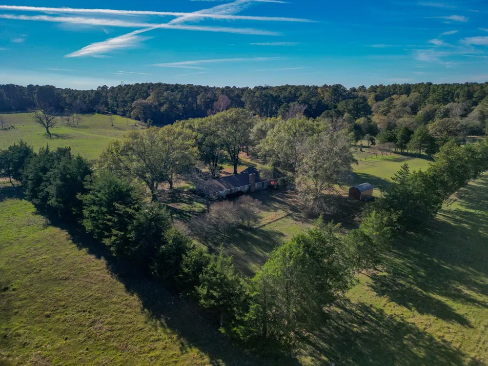 1549 County Road 1650 Grapeland, TX 75844