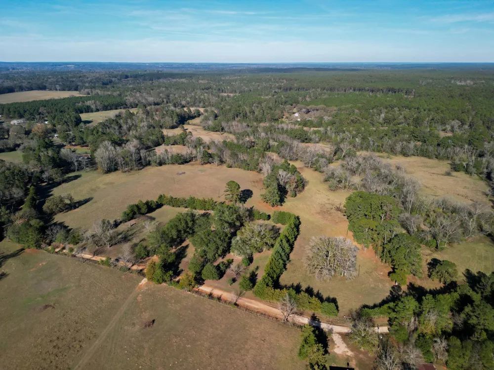 1549 County Road 1650 Grapeland, TX 75844