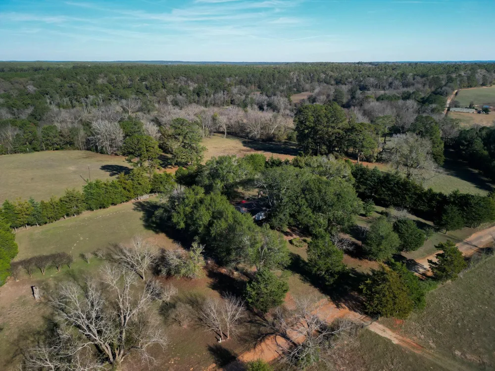 1549 County Road 1650 Grapeland, TX 75844