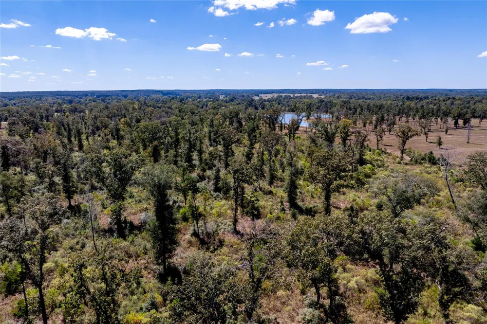 County Road  4700 Kennard, TX 75847
