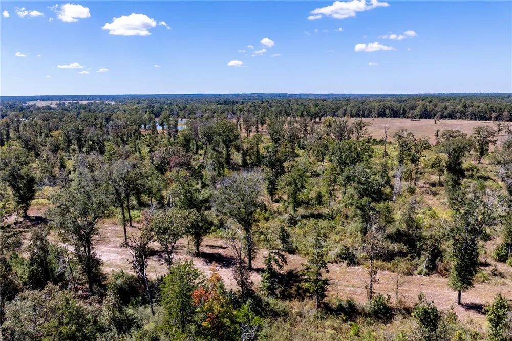 County Road  4700 Kennard, TX 75847