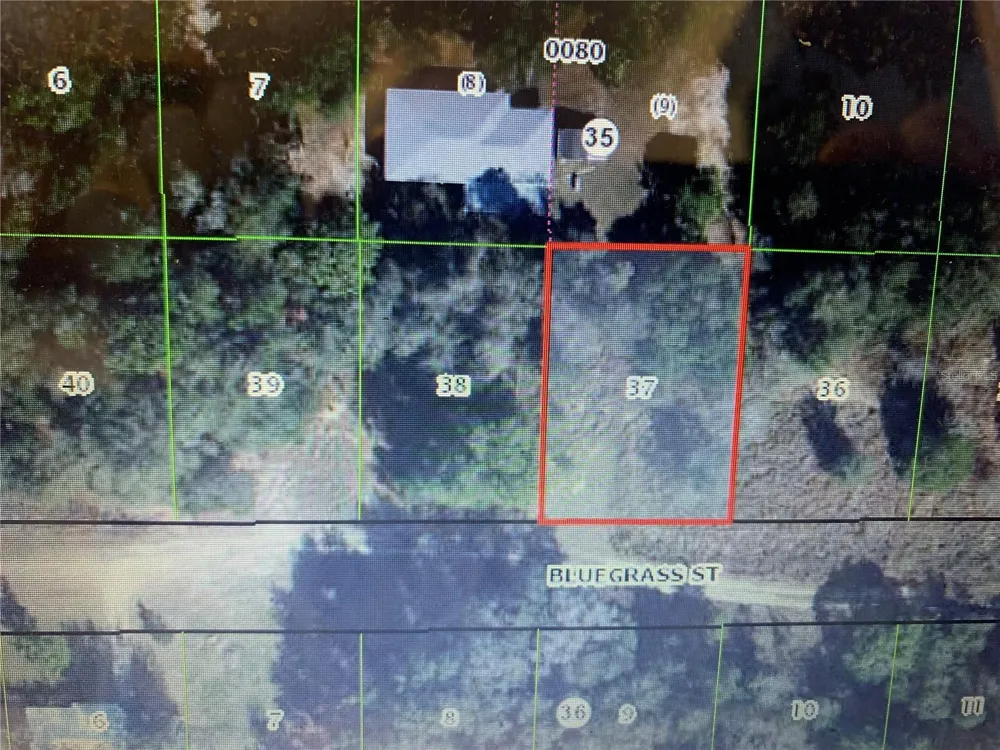 2408 BLUEGRASS STREET Inverness, FL 34453