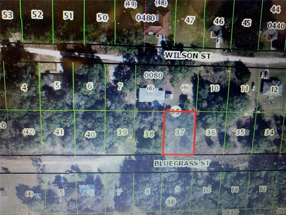 2408 BLUEGRASS STREET Inverness, FL 34453