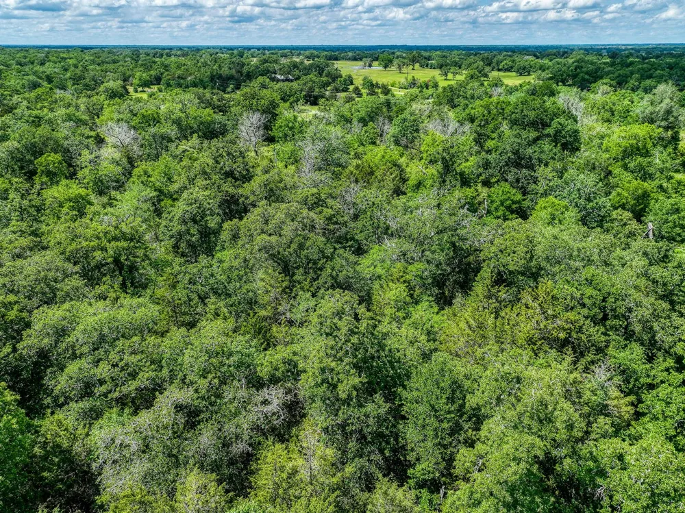 County Road 132 Bedias, TX 77831