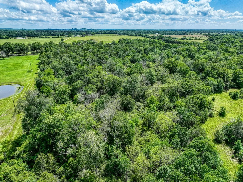 County Road 132 Bedias, TX 77831
