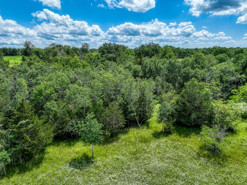 County Road 132 Bedias, TX 77831