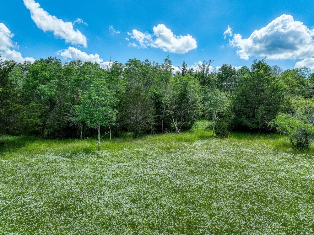 County Road 132 Bedias, TX 77831