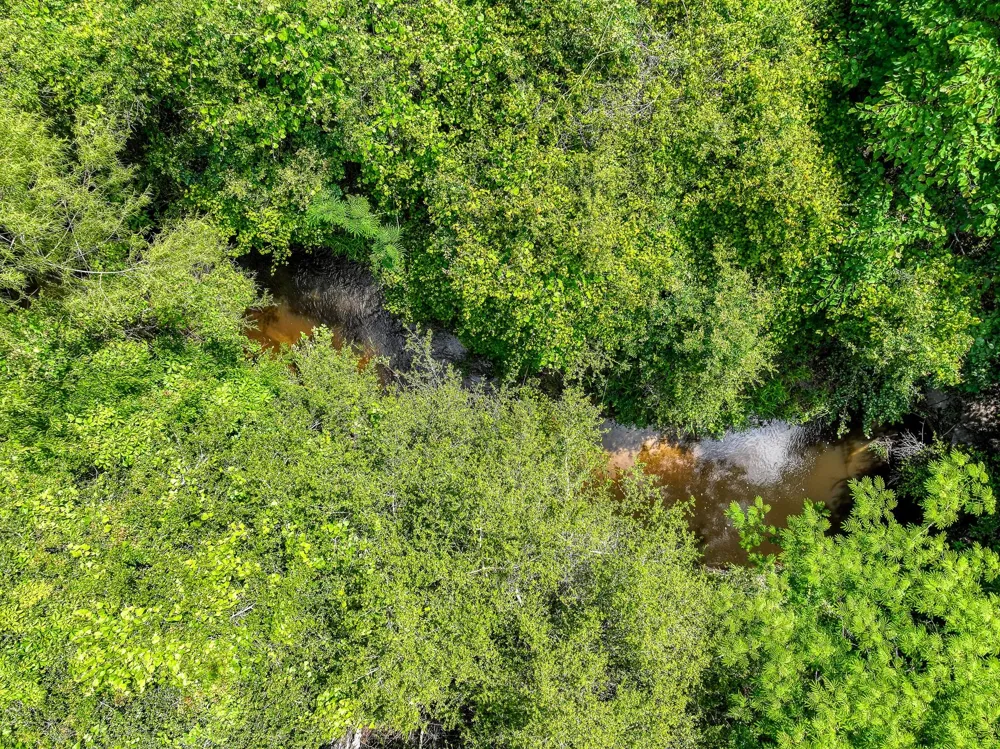 County Road 132 Bedias, TX 77831