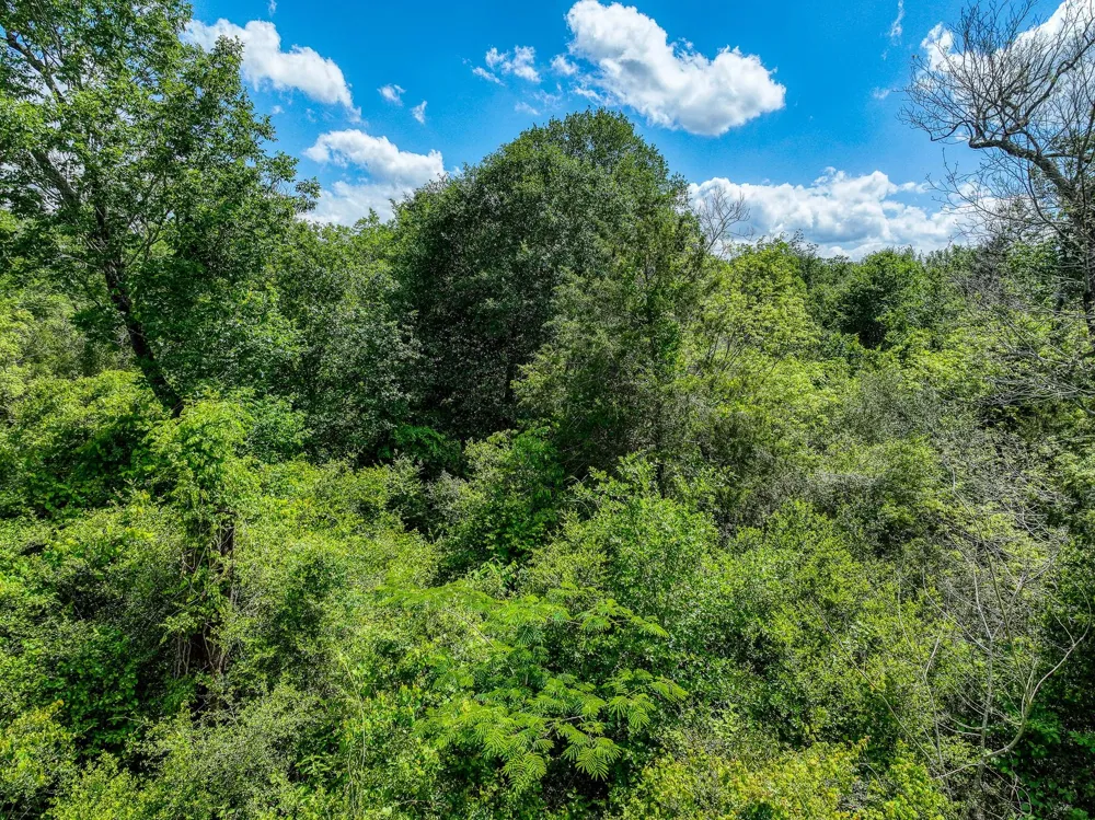 County Road 132 Bedias, TX 77831