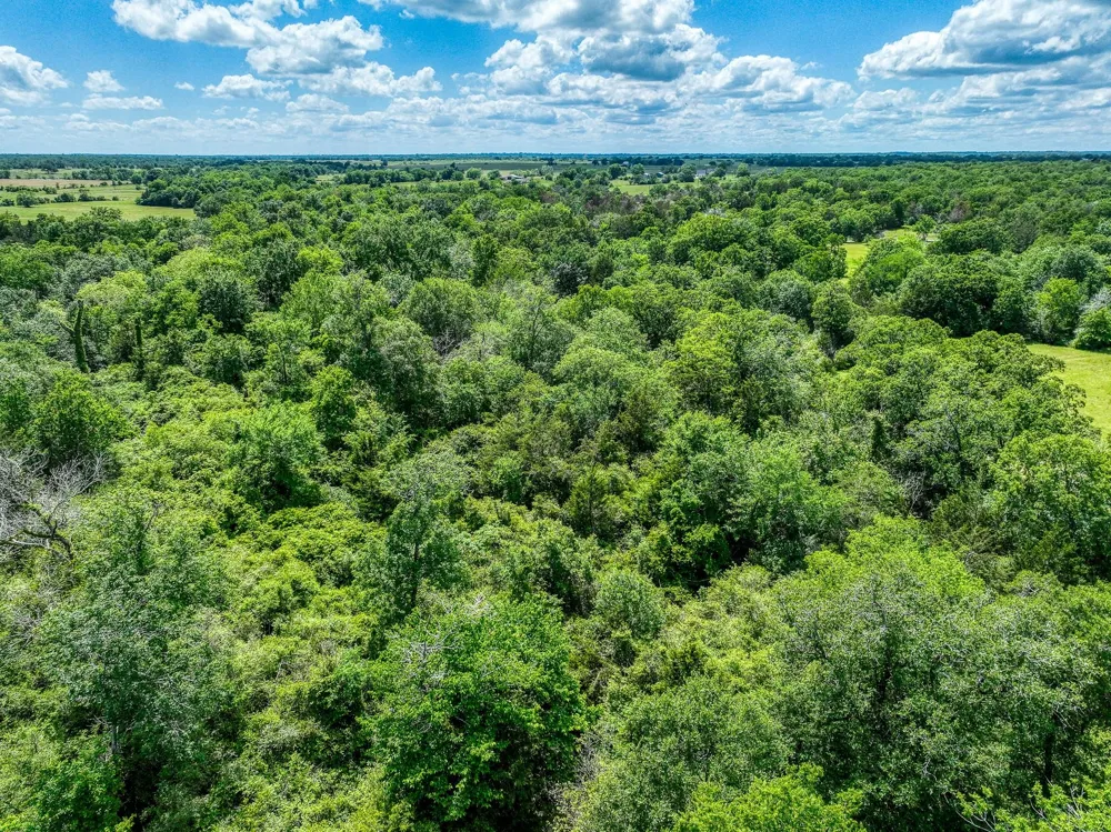 County Road 132 Bedias, TX 77831