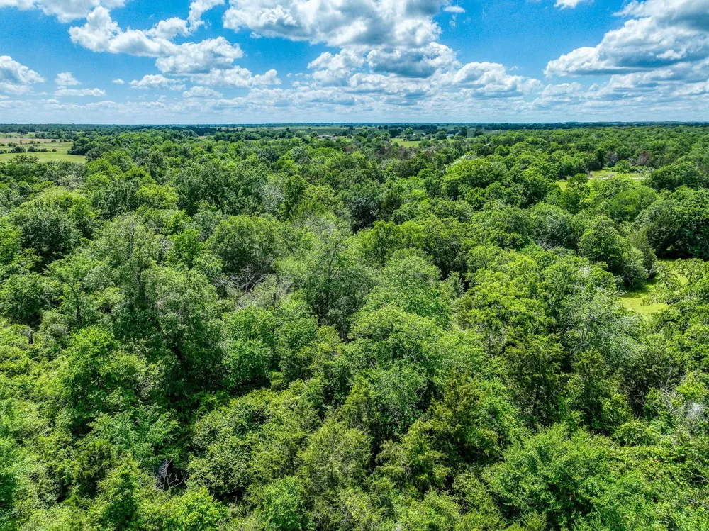 County Road 132 Bedias, TX 77831