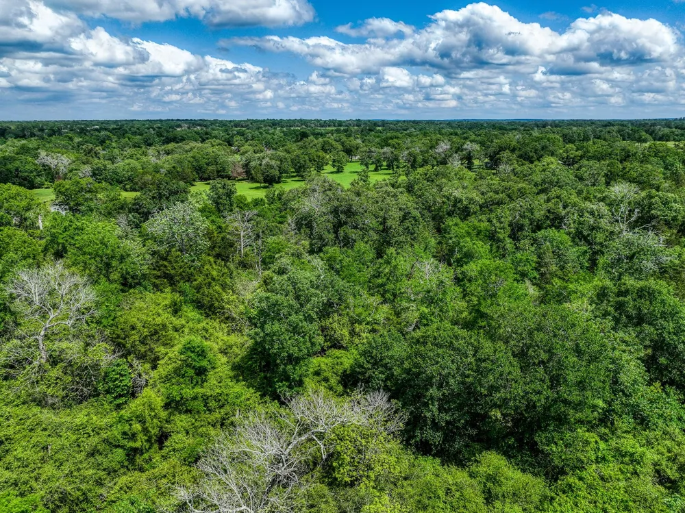 County Road 132 Bedias, TX 77831